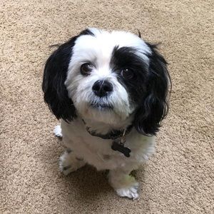 Meet your Posher, Abbey